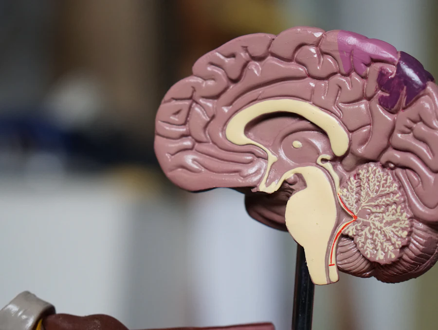 Rééducation neurologique à Marrakech